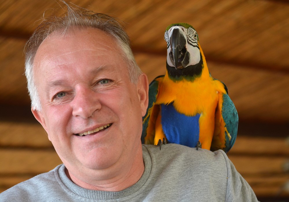 Papiga donosi svom vlasniku mnoge trenutke veselja (Danilo MEMEDOVIĆ)